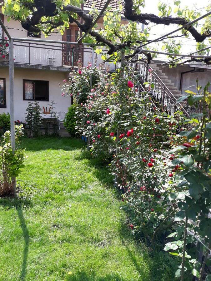 Apartment Dejan Cetinje Luaran gambar